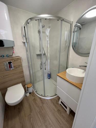a bathroom with a shower and a toilet and a sink at Apartament Szept Morza in Debina