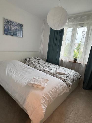 a bedroom with a white bed and a window at Nocleg na doby S 61 ROAD in Suwałki