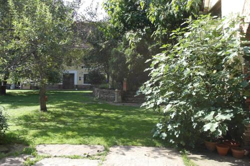 a yard with green grass and trees and a house at Presshaus Alte Mühle in Stainz