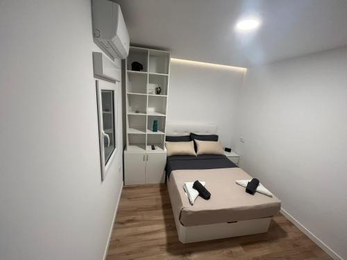 Alexa Suite