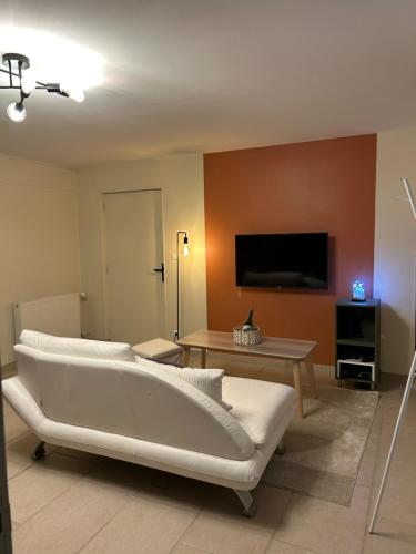 TV a/nebo společenská místnost v ubytování Logement cosy et moderne