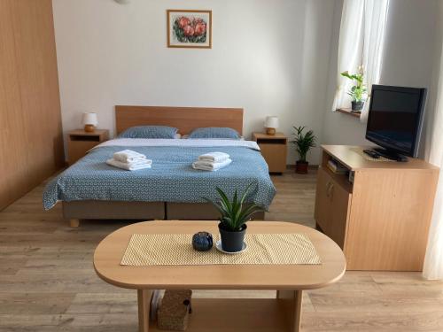 a bedroom with a bed and a table and a tv at Apartmán Janka in Oščadnica