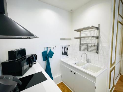 - une cuisine blanche avec évier et four micro-ondes dans l'établissement Charmant appartement haut de gamme, à Salins-les-Bains