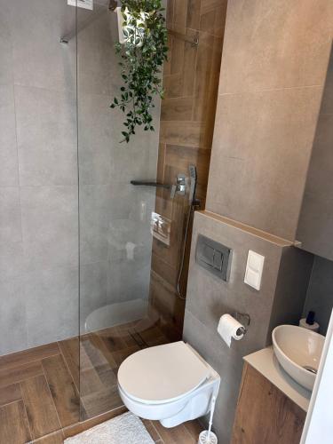 Bilik mandi di Apartamenty W Domu DeLux