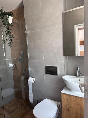 Bilik mandi di Apartamenty W Domu DeLux