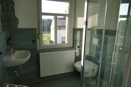 baño con lavabo y aseo y ventana en Naturgarten Karlsfeld in der schönen Lausitz, en Welzow