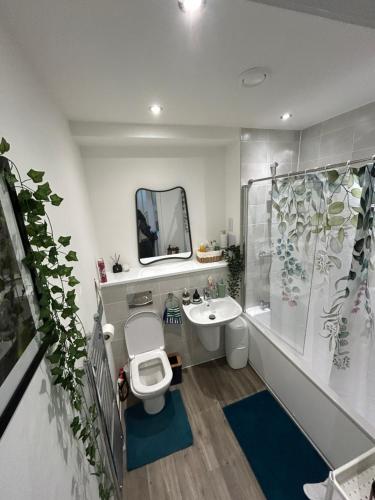 a bathroom with a toilet and a sink and a shower at Cosy private double room & sofa-bed room in vibrant Hatfield neighbourhood in Hatfield