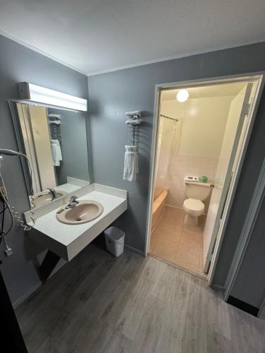 ein Bad mit einem Waschbecken und einem WC in der Unterkunft Acorn Motel in Black Mountain