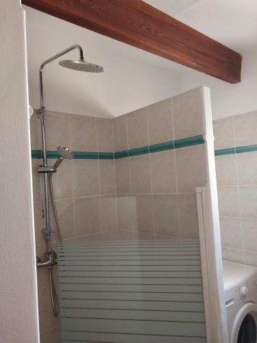 y baño con ducha y lavadora. en CASAPIANA 05, en San-Gavino-di-Carbini