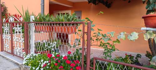 Zahrada ubytování Apartman Vesna