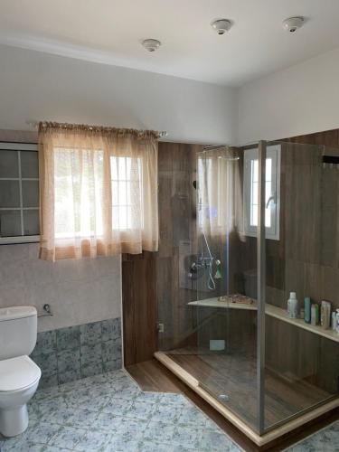 卡羅維西的住宿－Samos Villa With Pool，带淋浴和卫生间的浴室