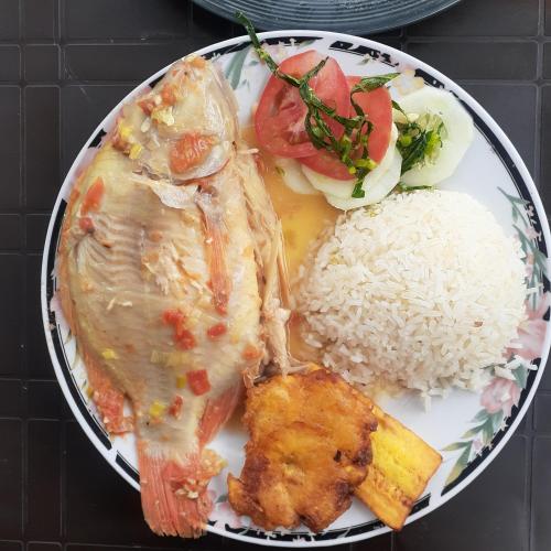 a plate of food with rice and meat and vegetables at Glamping eco descanso la vega Nocaima in Nocaima