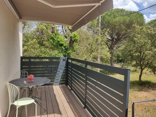 Studio dans la forêt provençale