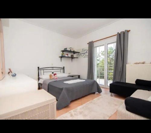 卡羅維西的住宿－Samos Villa With Pool，一间卧室配有一张床、一张沙发和一个窗口