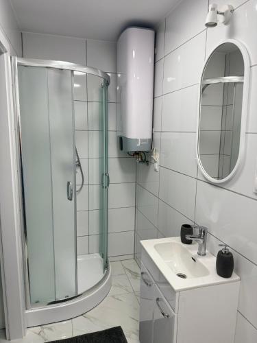 a bathroom with a shower and a sink and a mirror at Le Rond Point in Sieraków