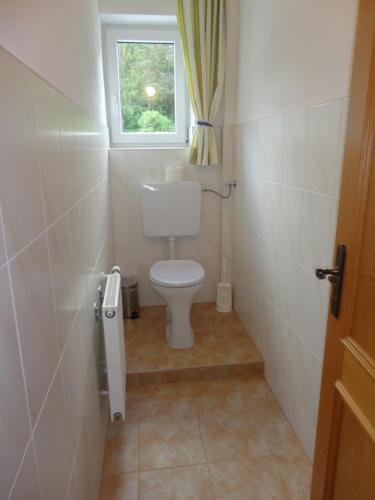 Elle comprend une petite salle de bains pourvue de toilettes et d'une fenêtre. dans l'établissement Ferienwohnung Fuchs, à Bad Mitterndorf