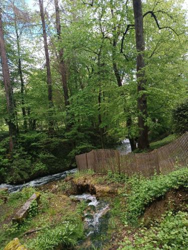 a fence next to a river in a forest at Hotel Le Beauregard in Divonne-les-Bains