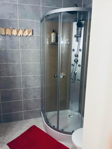 La salle de bains est pourvue d'une douche et d'un tapis rouge. dans l'établissement Studio tout confort, parking privé, terrasse et plage, à Antibes