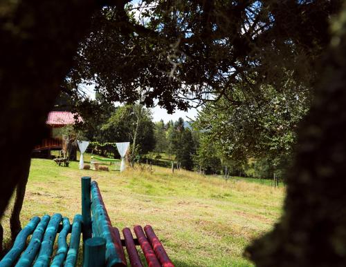 a green park bench sitting in a field at Cabaña Ceeport in Paipa