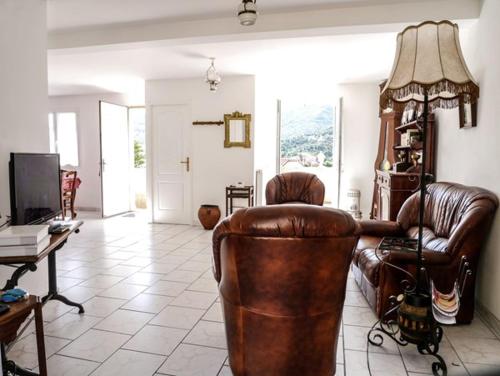 - un salon avec deux fauteuils en cuir et une télévision dans l'établissement Le Nid de Gilles, à Collioure