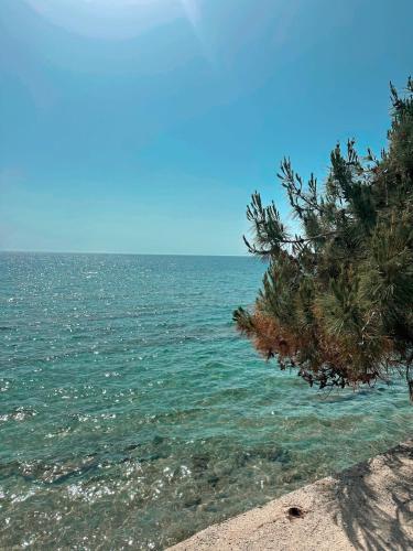Φυσικό τοπίο κοντά σε αυτό το διαμέρισμα