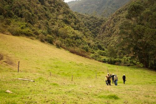 a group of people walking down a grassy hill at Glamping - Domo el Frailejón con Jacuzzi in Villapinzón