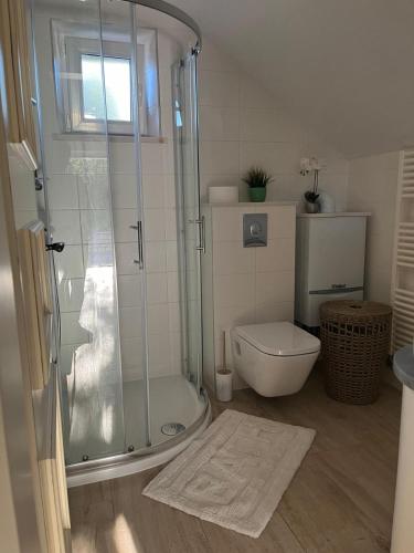 a bathroom with a shower and a toilet at House Ana in Pučišća