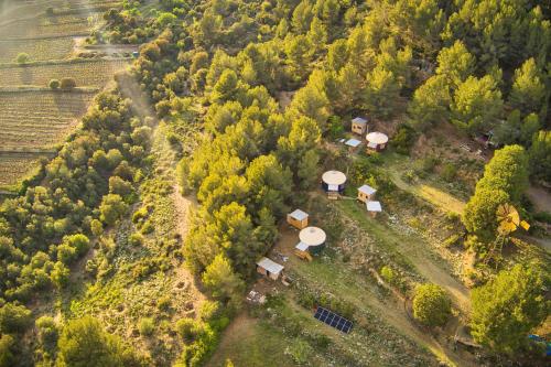 an aerial view of a farm with a group of trees at La Muntanera - Eco Yurt - Pool, Nature retreat in Figuerola