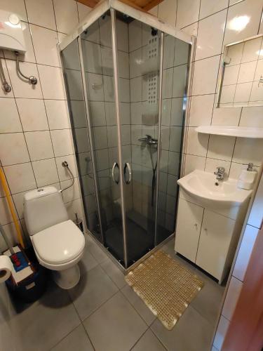 a bathroom with a shower and a toilet and a sink at Domek Irenka in Puck