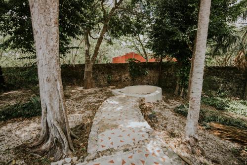 a toilet sitting in the middle of some trees at HACIENDA SANTO DOMINGO DE YUNKU in Yuncu