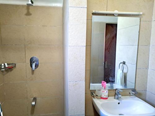 a bathroom with a sink and a mirror at Khalisee homes 1 BDR apartment in Kilifi