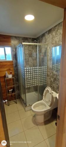 La salle de bains est pourvue de toilettes et d'une douche en verre. dans l'établissement Cabaña Puyehue, à Puyehue