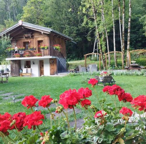 a garden with red flowers in front of a cabin at Calme et sérénité 4 étoiles pour vos séjours VSD ou + in Sixt