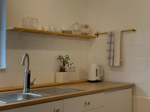 a kitchen with a sink and a counter top at Ferienwohnung Zumhof in Rudersberg