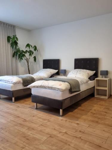 two beds sitting in a room with at Gästehaus Windrose in Fichtelberg