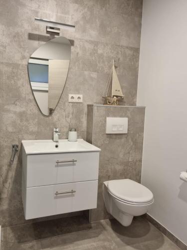 a bathroom with a sink and a toilet and a mirror at Gästehaus Windrose in Fichtelberg