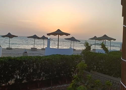 拉斯蘇德爾的住宿－شاليه فندقي إطلالة مباشرة على البحر مكيف بحديقة خاصة راس سدر，海滩上的一组遮阳伞