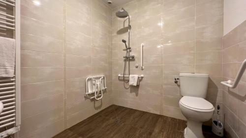 a bathroom with a toilet and a shower stall at L'Intermède & En toute amitié - Les Gites de l'Argile in Faucon-de-Barcelonnette