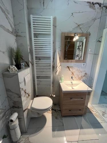a bathroom with a toilet and a sink and a mirror at Apartment Rakovica Luxury in Ilidza