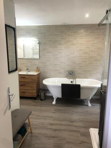 Ένα μπάνιο στο Gîte aux ânes avec Spa