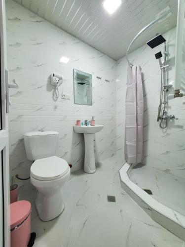チャルトゥボにあるHotel Nの白いバスルーム(トイレ、シンク付)