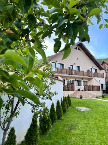 Zahrada ubytování CASA ALEXANDRA