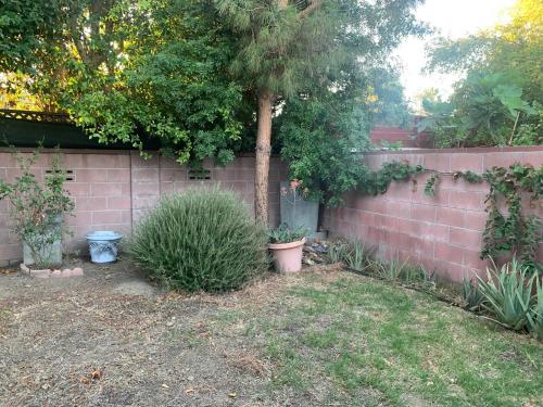 a brick wall with a tree and plants in a yard at Art Studio(s) at 8509 Fullbright Avenue, Winnetka, CA, USA 91306 in Los Angeles