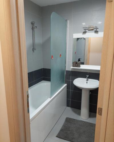 a bathroom with a shower and a sink at SUNRAY Apartman Požarevac in Požarevac