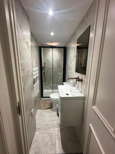 La salle de bains est pourvue de toilettes, d'un lavabo et d'une douche. dans l'établissement The Chapter Hotels - Mayfair Residences, à Londres