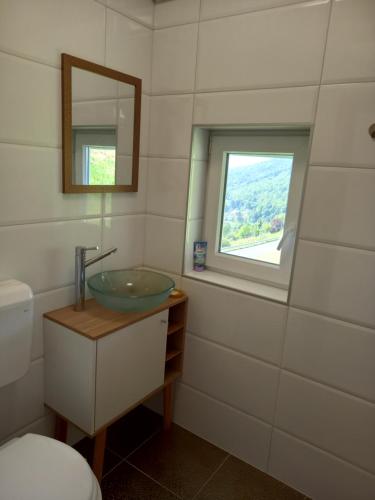 a bathroom with a sink and a mirror and a window at Vineyard cottage foggy sea in Semič