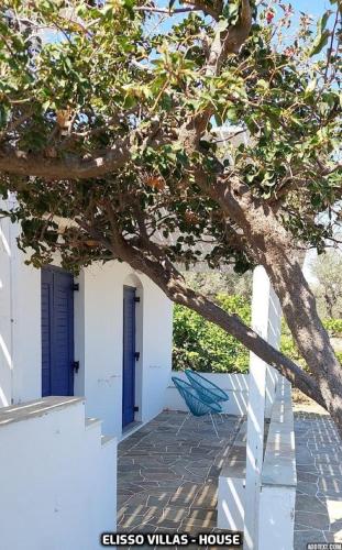 a tree in front of a white house with a blue door at Elisso Villas in Platis Yialos Sifnos
