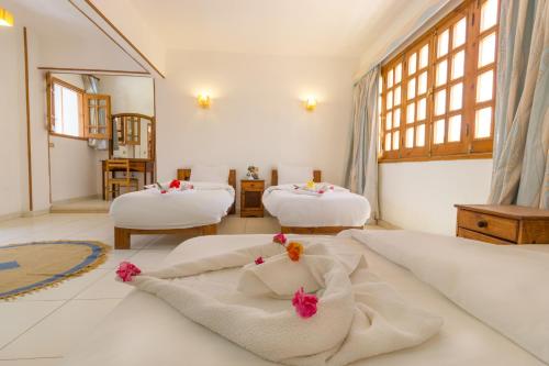 Postel nebo postele na pokoji v ubytování Acacia Dahab Hotel