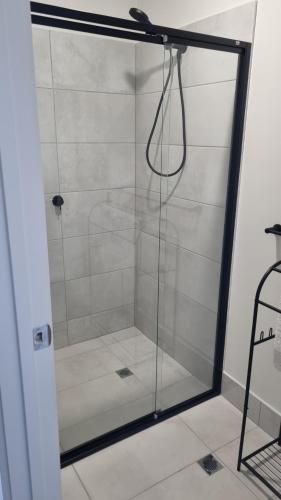 a shower with a glass door in a bathroom at Wellington marina70 in Wellington East