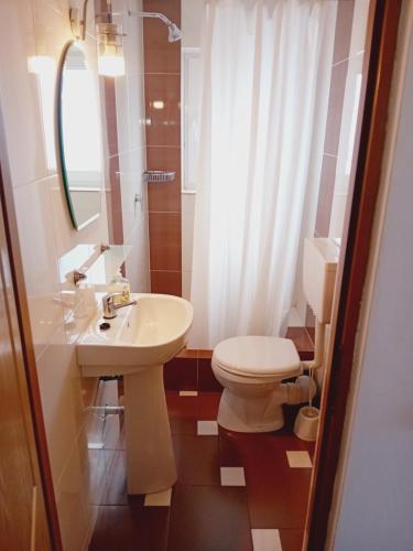 a bathroom with a toilet and a sink at Pensiunea Dimitrie in Mănăstirea Humorului